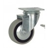 Rueda semi-industrial 15-80 kg R.6010302 Z GG